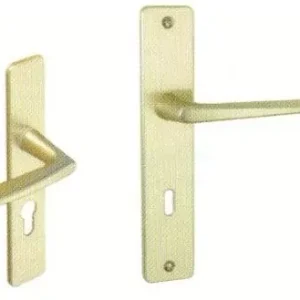 Ensemble Poignées sur plaque champagne rehaussé à l’extérieur