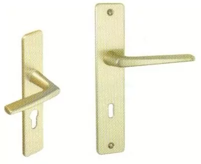 Ensemble Poignées sur plaque champagne rehaussé à l’extérieur