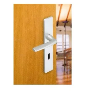 ensemble de poignée cylindre européen