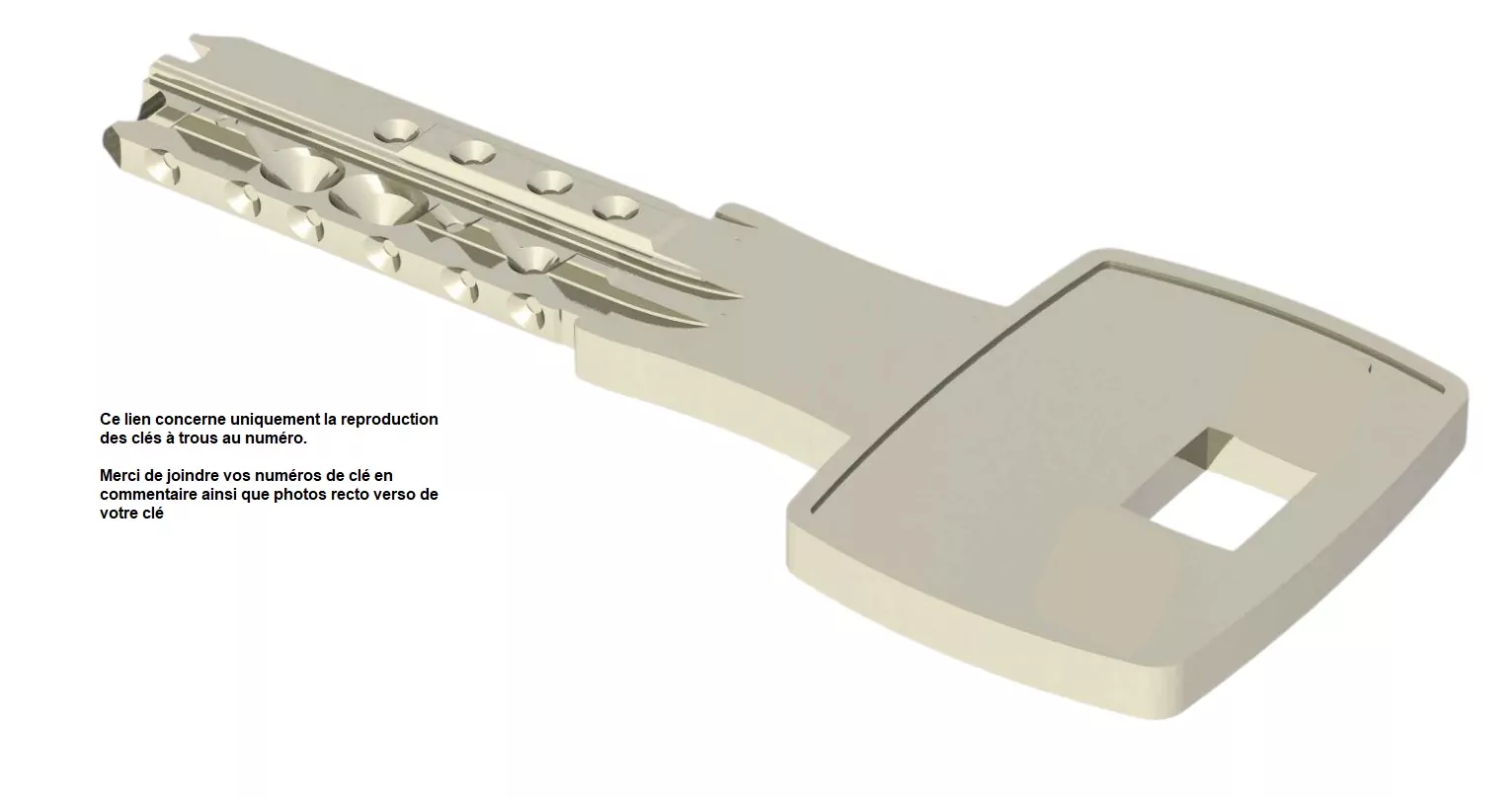Reproduction de clé à trous